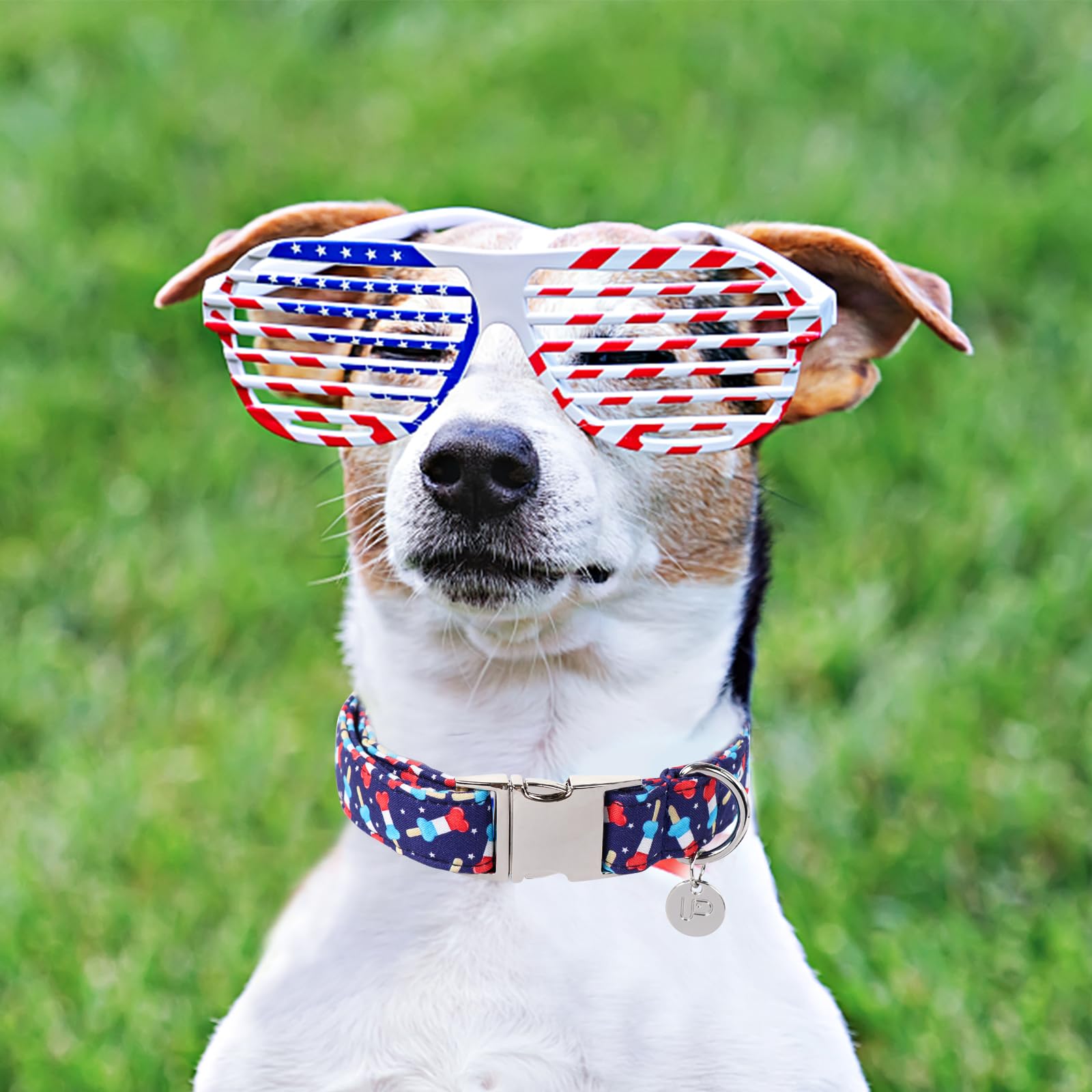 Dog Patriotic Collar, 4Th Of July, American Flag Dog Collar For Boy Girl Puppy, With Metal Buckle, L
